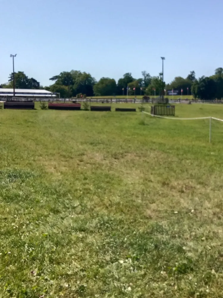 poney club du renouveau