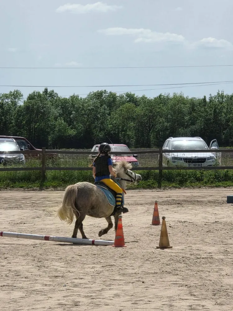 poney club du renouveau