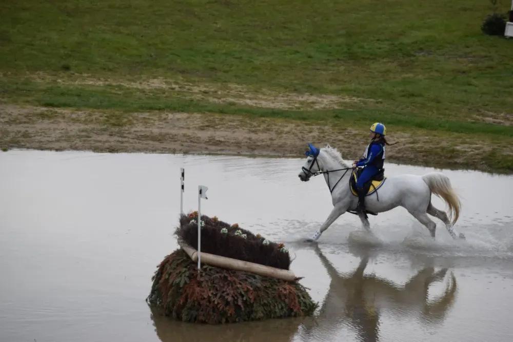 poney club du renouveau