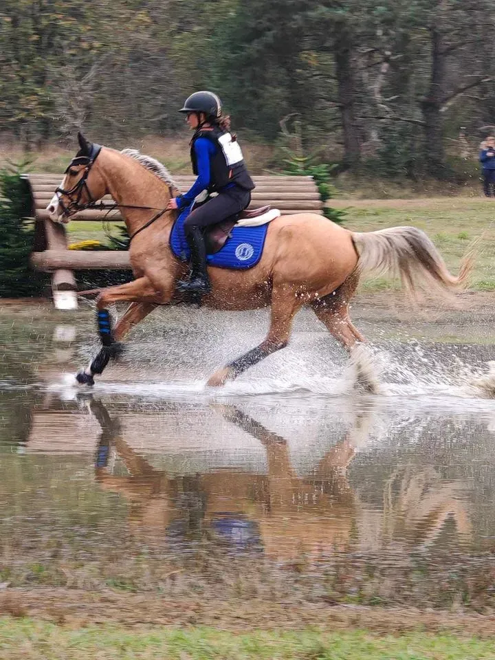 poney club du renouveau