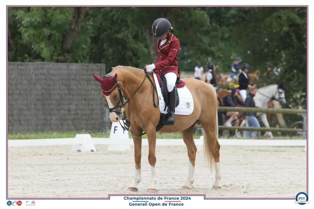 poney club du renouveau