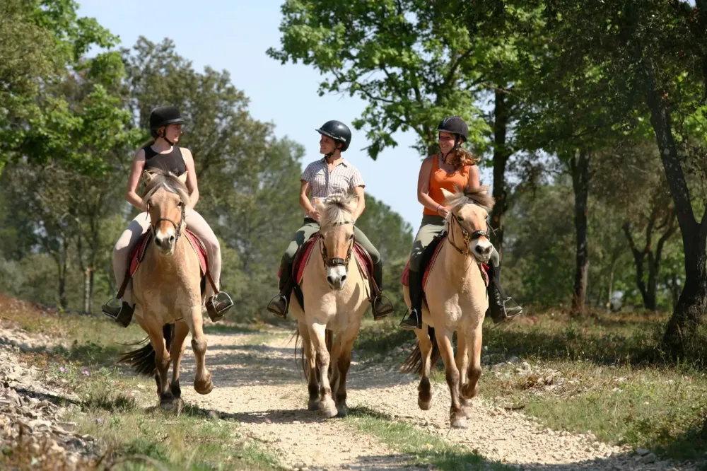 Balade cheval près de Mareuil