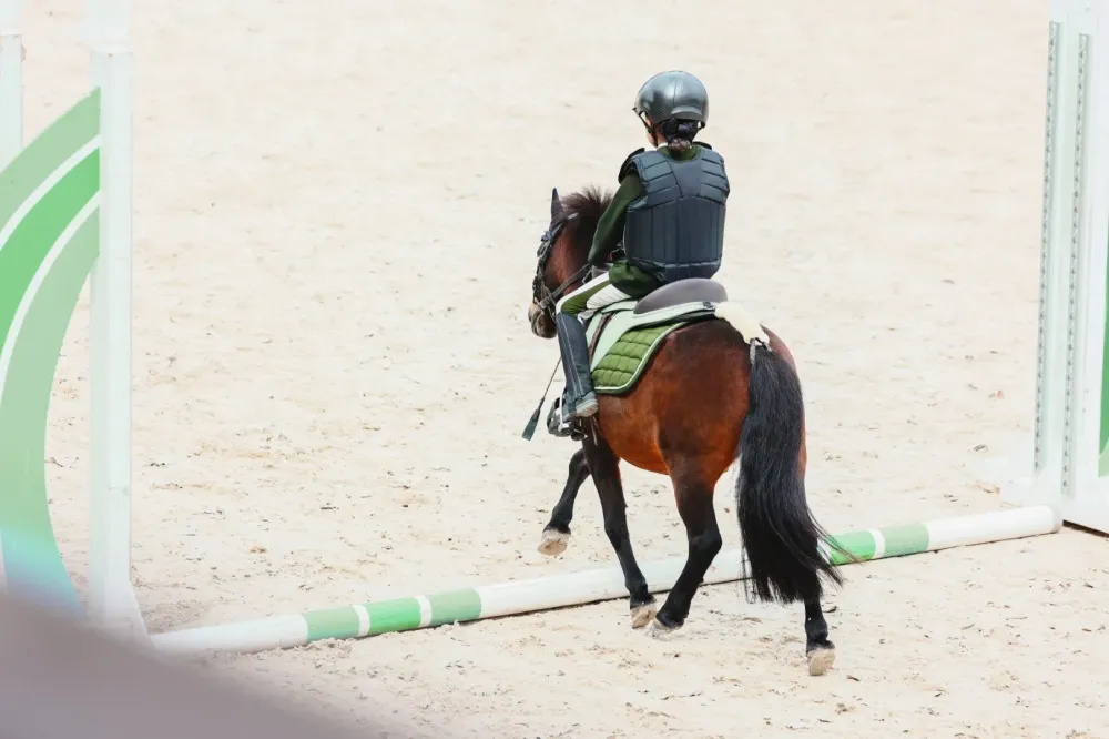 Stage équitation près de Mareuil